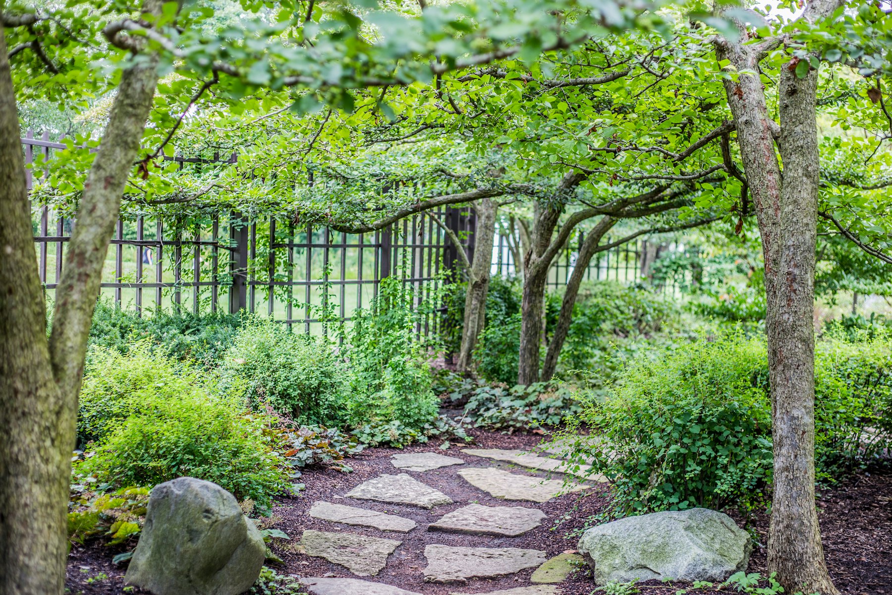 Illustrative photograph, not of Foxglove & Stone's own work